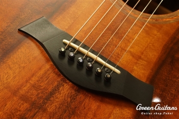 TGS2014 GSce-Koa